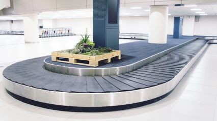 Arrival conveyor belt for standard and oversize luggage