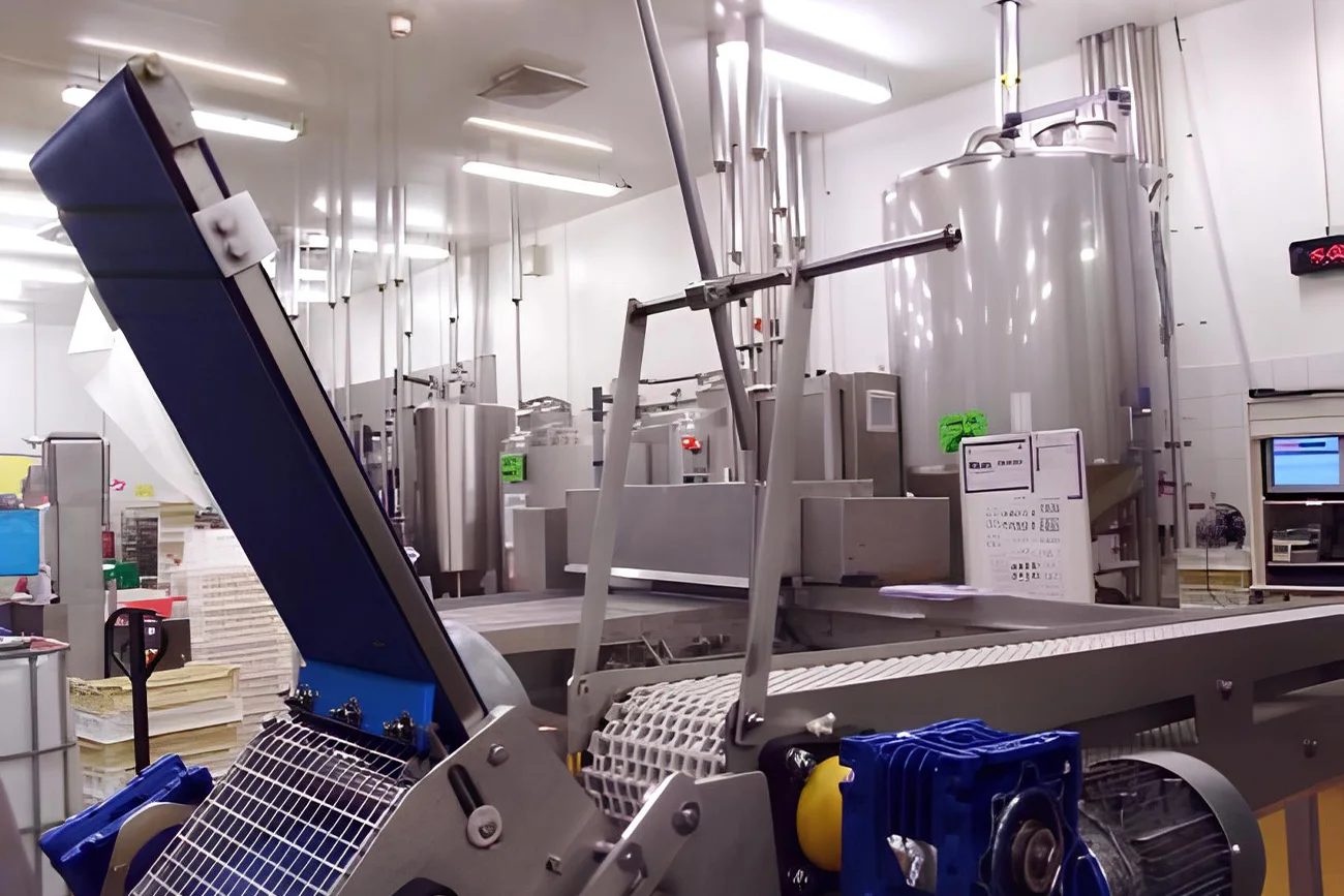 Conveyor line design food processing industry